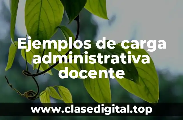 Ejemplos de carga administrativa docente