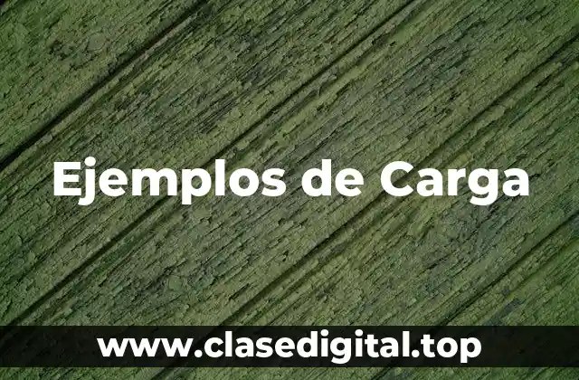 Ejemplos de Carga