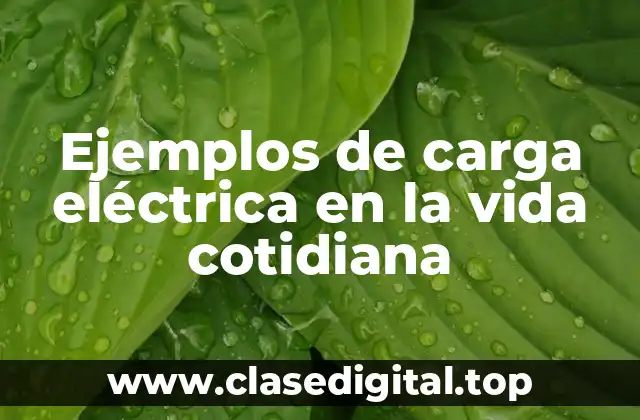 Ejemplos de carga eléctrica