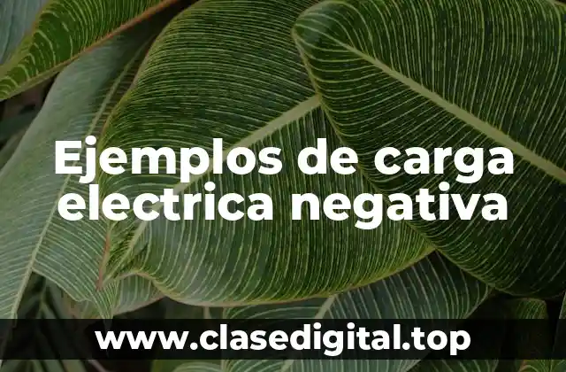 Ejemplos de carga eléctrica negativa