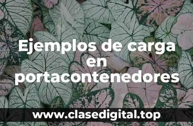 Ejemplos de carga en portacontenedores