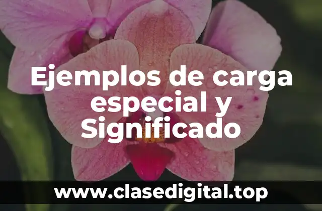 Ejemplos de carga especial