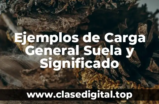 Ejemplos de Carga General Suela y Significado