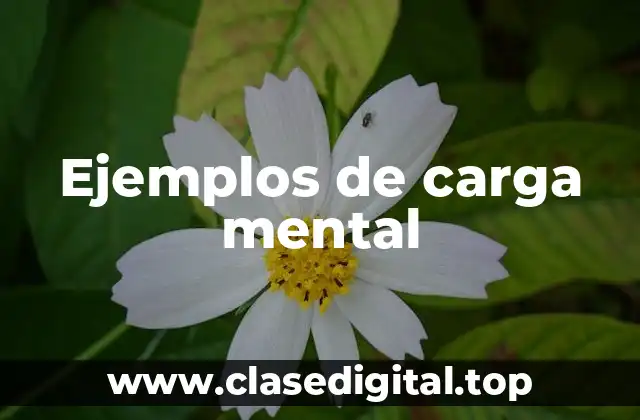 Ejemplos de carga mental