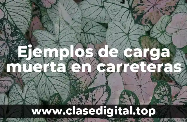 Ejemplos de carga muerta en carreteras