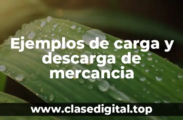 Ejemplos de carga y descarga de mercancia