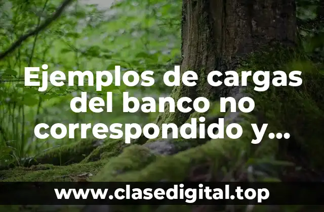 Ejemplos de cargas del banco no correspondido y Significado