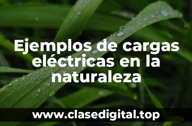 Ejemplos de cargas eléctricas en la naturaleza