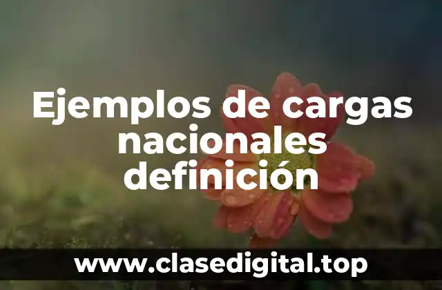 Ejemplos de cargas nacionales