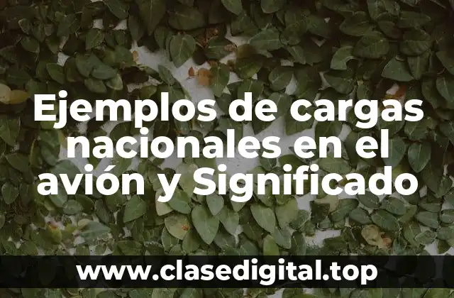 Ejemplos de cargas nacionales en el avión y Significado
