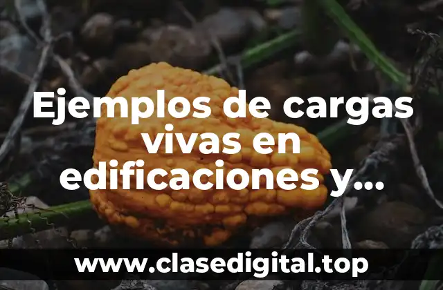 Ejemplos de cargas vivas en edificaciones y Significado