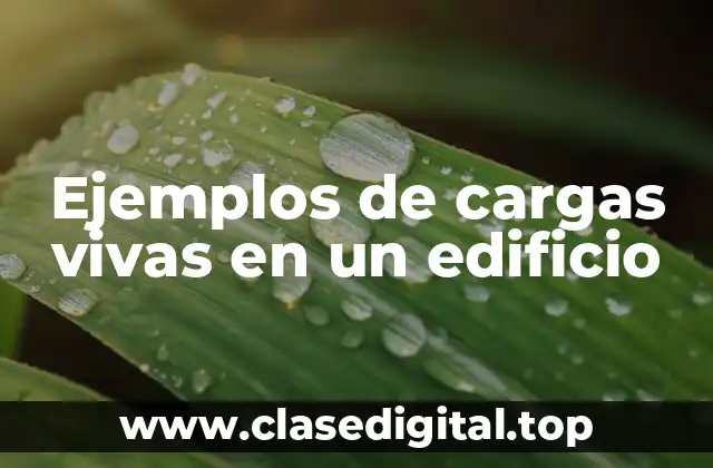 Ejemplos de cargas vivas en un edificio