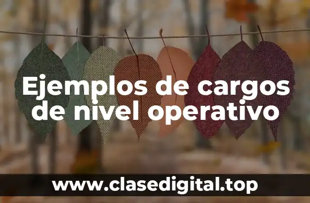 Ejemplos de cargos de nivel operativo