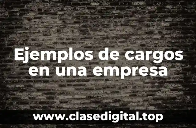 Ejemplos de cargos en una empresa