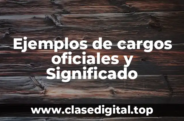 Ejemplos de cargos oficiales
