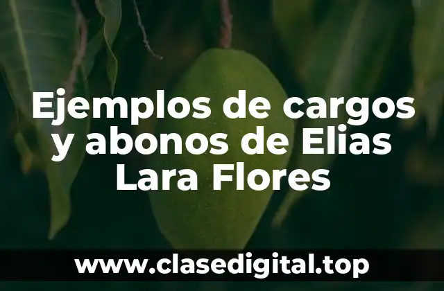 Ejemplos de cargos y abonos de Elias Lara Flores