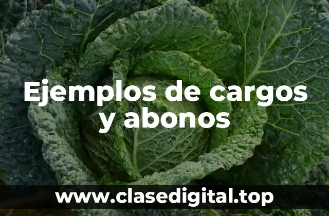 Ejemplos de cargos y abonos