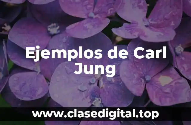 Ejemplos de Carl Jung