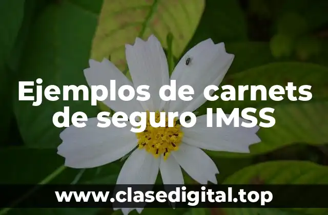 Ejemplos de carnets de seguro IMSS