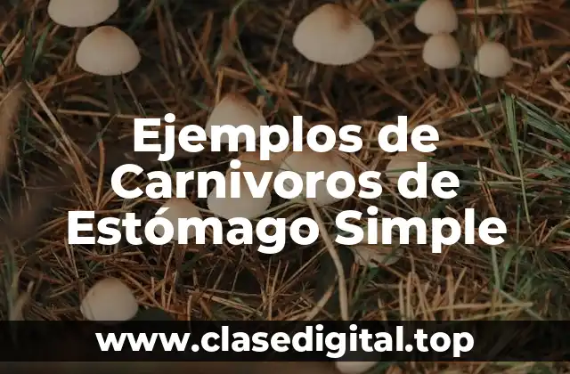 Ejemplos de Carnivoros de Estómago Simple