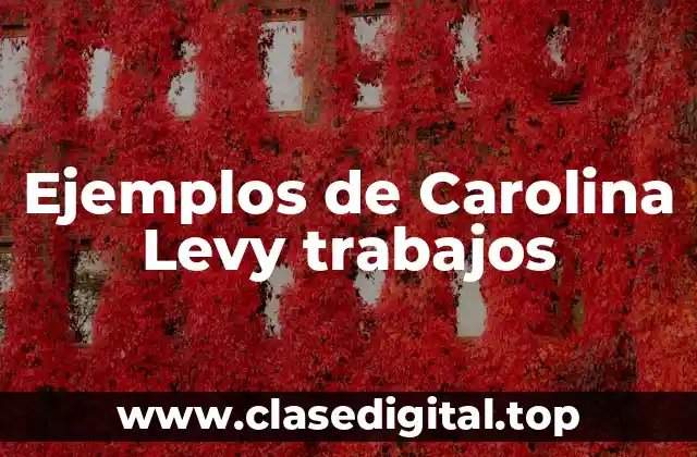 Ejemplos de trabajos de la Carolina Levy