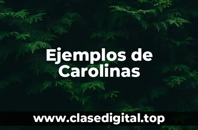 Ejemplos de Carolinas