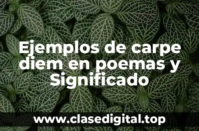 Ejemplos de carpe diem en poemas y Significado