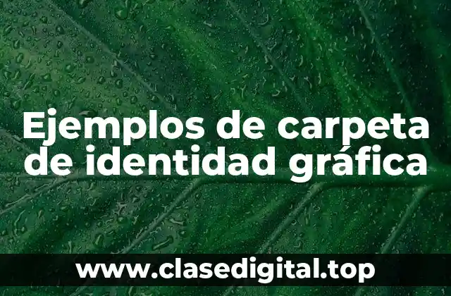 Ejemplos de carpeta de identidad gráfica