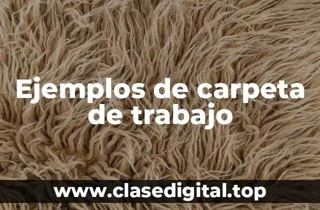 Ejemplos de carpeta de trabajo