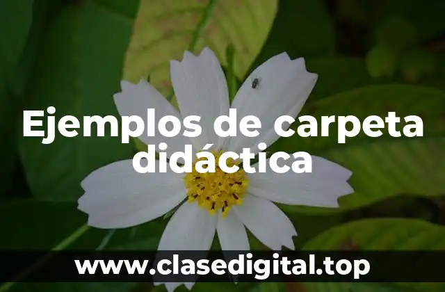 Ejemplos de carpeta didáctica