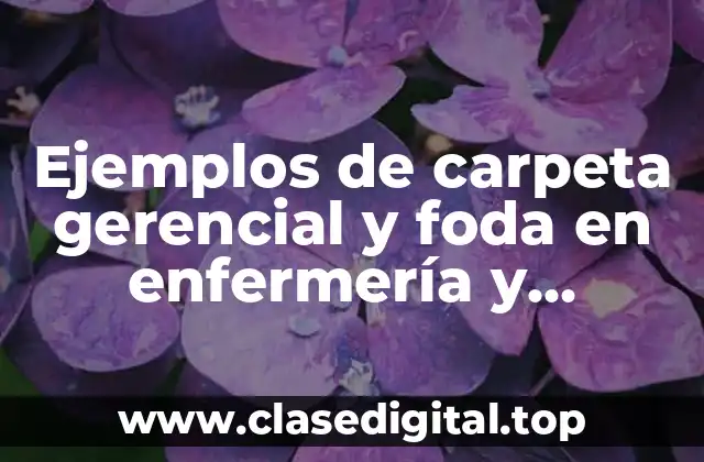 Ejemplos de carpeta gerencial y foda en enfermería