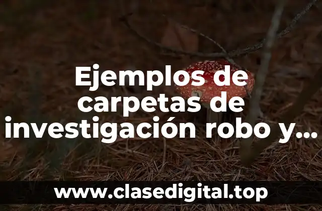 Ejemplos de carpetas de investigación robo y Significado