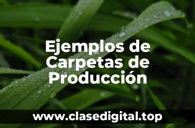 Ejemplos de Carpetas de Producción
