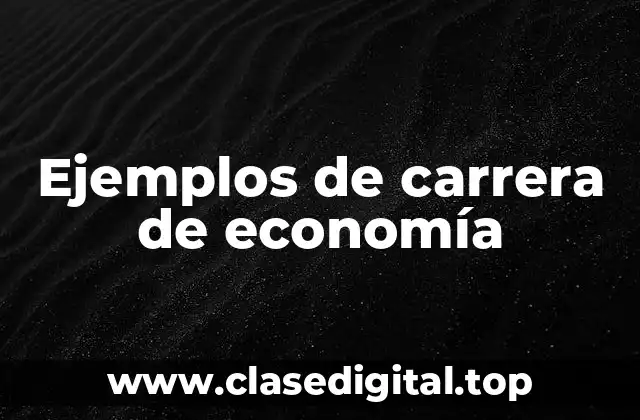 Ejemplos de carrera de economía