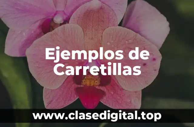 Ejemplos de Carretillas