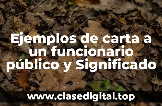 Ejemplos de carta a un funcionario público y Significado