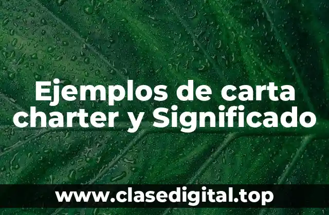 Ejemplos de carta charter y Significado