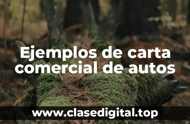 Ejemplos de carta comercial de autos