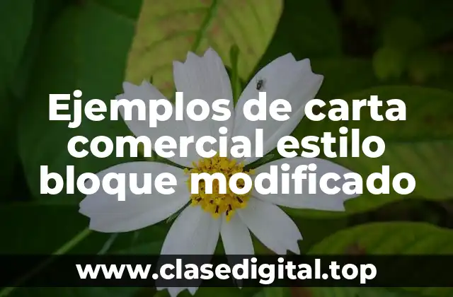 Ejemplos de carta comercial estilo bloque modificado
