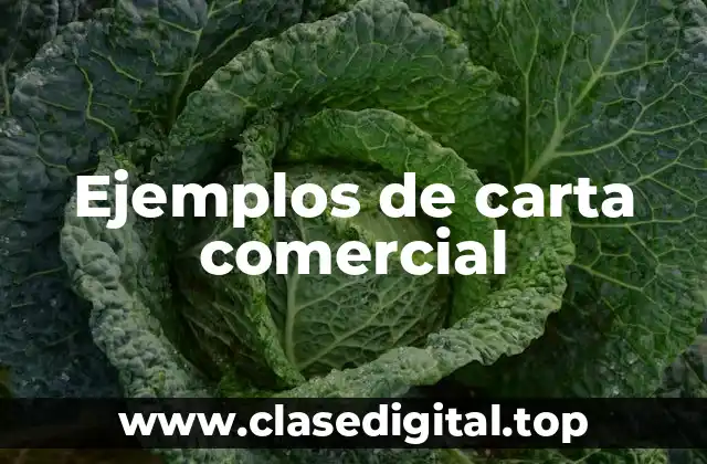 Ejemplos de carta comercial
