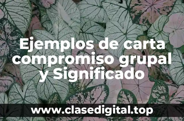 Ejemplos de carta compromiso grupal y Significado