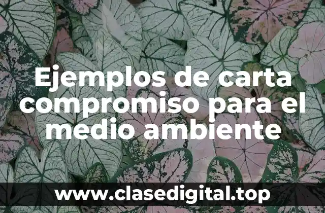 Ejemplos de carta compromiso para el medio ambiente