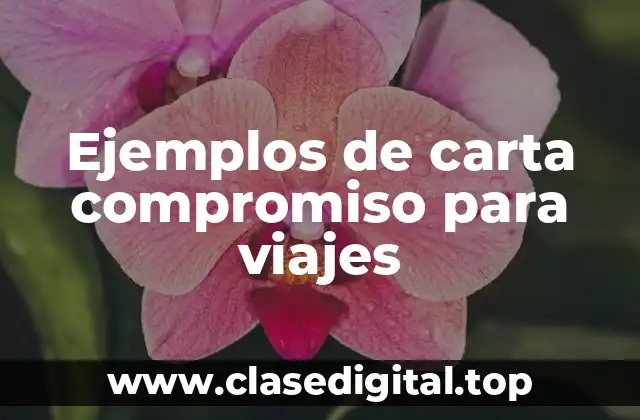 Ejemplos de carta compromiso para viajes