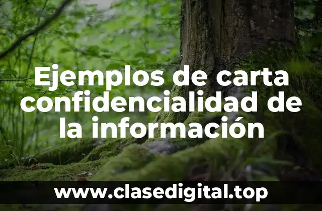 Ejemplos de carta confidencialidad de la información