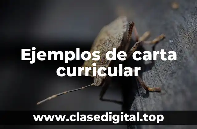 Ejemplos de carta curricular