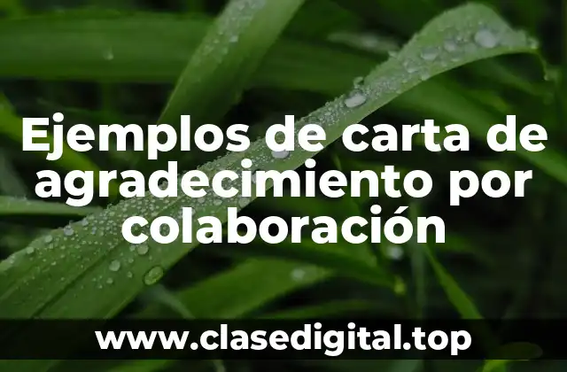 Ejemplos de carta de agradecimiento por colaboración