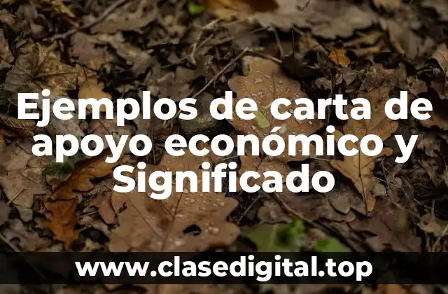 Ejemplos de carta de apoyo económico y Significado