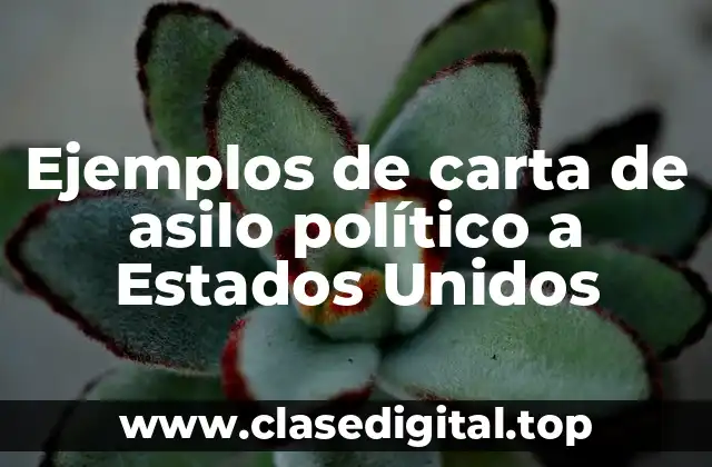 Ejemplos de carta de asilo político a Estados Unidos