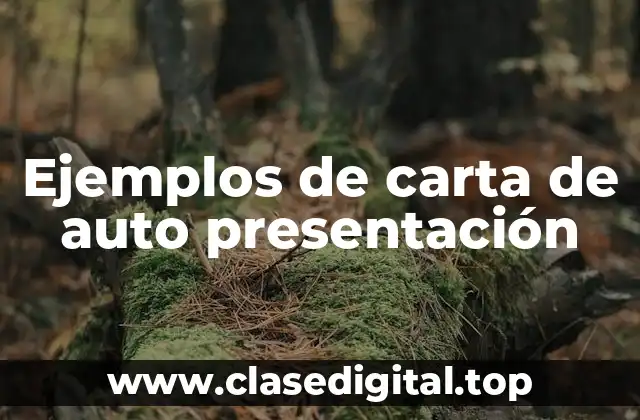 Ejemplos de carta de auto presentación