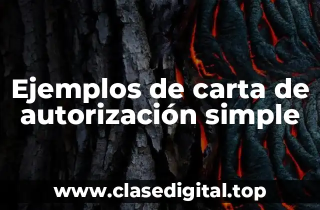 Ejemplos de carta de autorización simple